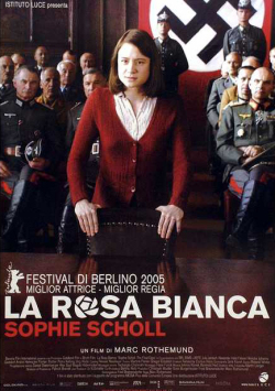 rosa bianca